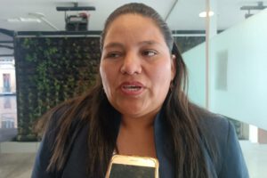 Ley de elecciones judiciales según diputada Deisy Choque
