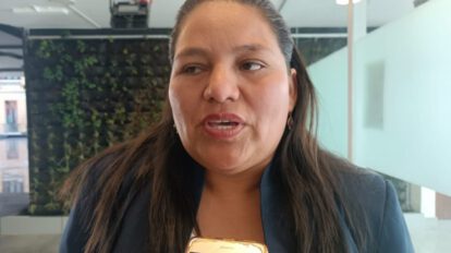 Ley de elecciones judiciales según diputada Deisy Choque