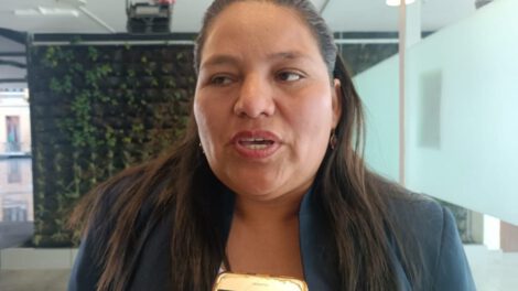 Ley de elecciones judiciales según diputada Deisy Choque