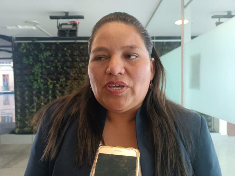Ley de elecciones judiciales según diputada Deisy Choque