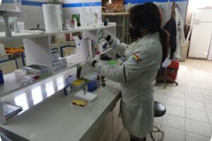 Intoxicación por veneno para ratas en estudiantes de la unidad educativa German Gmeiner
