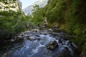 Calentamiento de ríos y pérdida de oxígeno en ecosistemas acuáticos