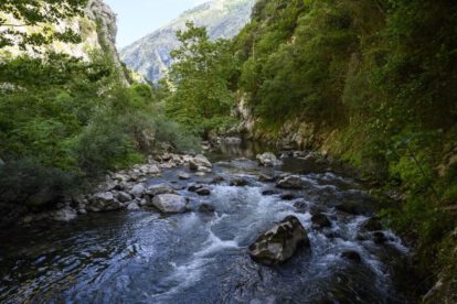 Calentamiento de ríos y pérdida de oxígeno en ecosistemas acuáticos