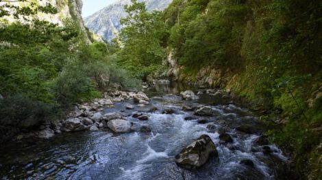 Calentamiento de ríos y pérdida de oxígeno en ecosistemas acuáticos