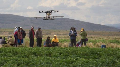 Ingeniera agrónoma indígena mejora la agricultura boliviana con drones