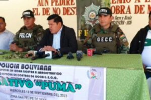 Decomiso de hoja de coca en El Alto