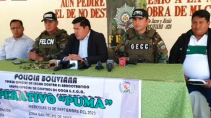 Decomiso de hoja de coca en El Alto