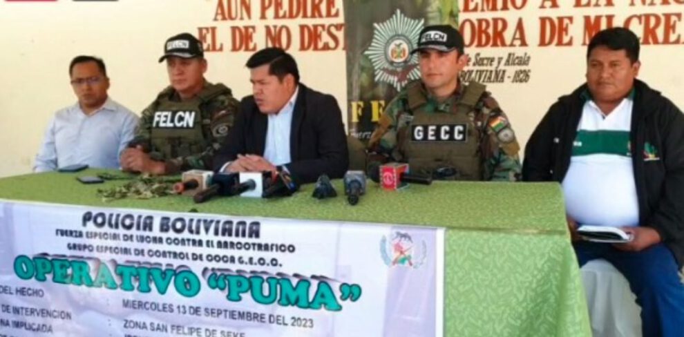 Decomiso de hoja de coca en El Alto