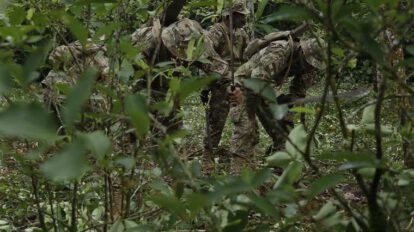 Efectivos militares y policiales erradican plantaciones de coca ilegal