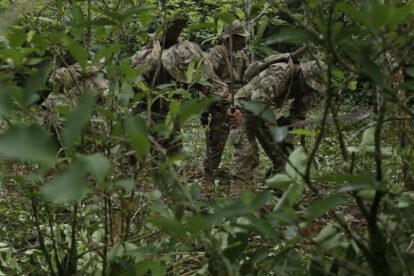 Efectivos militares y policiales erradican plantaciones de coca ilegal