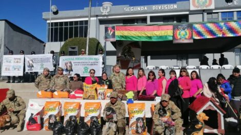 Ejército y animales abandonados en la campaña 'Un cariño que deja huellas'
