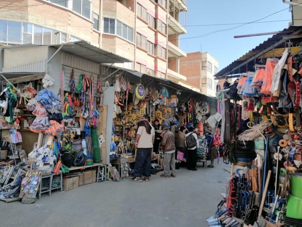 Asfaltado de la calle Adolfo Mier