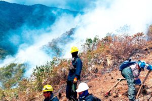 Incendio forestal Cotapata afecta el parque nacional