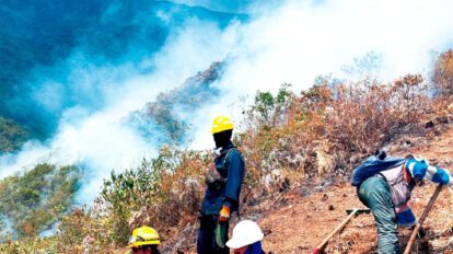 Incendio forestal Cotapata afecta el parque nacional