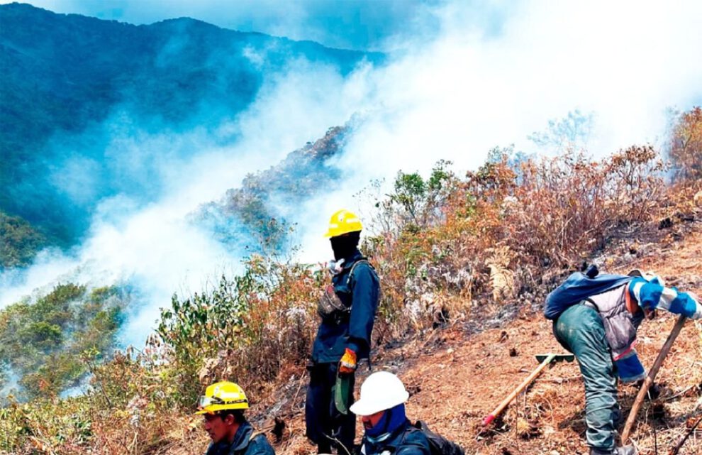 Incendio forestal Cotapata afecta el parque nacional
