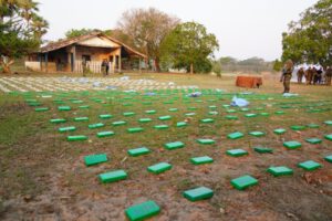 Decomiso de clorhidrato de cocaína en Beni