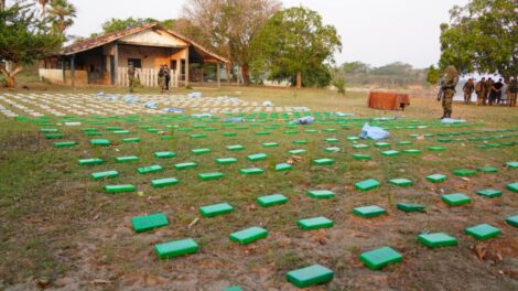 Decomiso de clorhidrato de cocaína en Beni