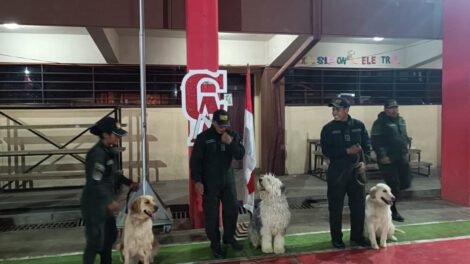 Demostración de destreza canina en el Colegio Aniceto Arce Nocturno