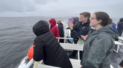 Inteligencia artificial protege cetáceos en el Mar Céltico
