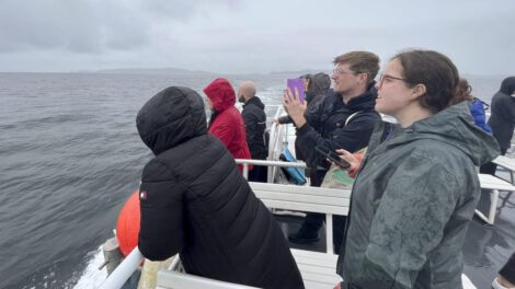 Inteligencia artificial protege cetáceos en el Mar Céltico