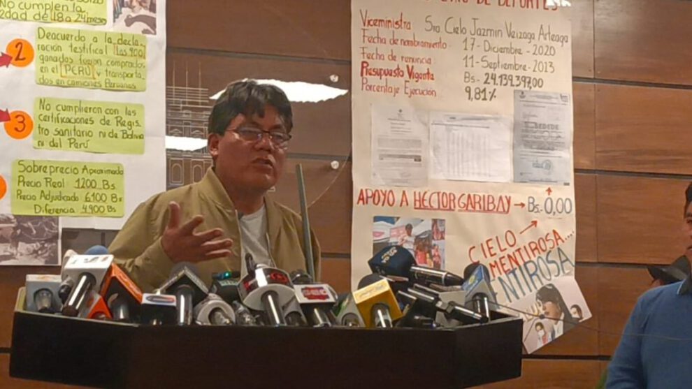 Renuncia de viceministra de Deportes, Cielo Veizaga