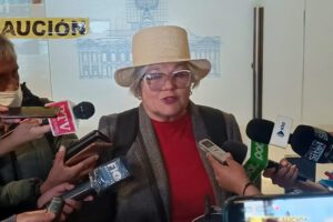 Ley de elecciones judiciales: Salame denuncia irregularidades en el envío de consultas