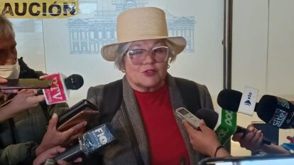 Ley de elecciones judiciales: Salame denuncia irregularidades en el envío de consultas
