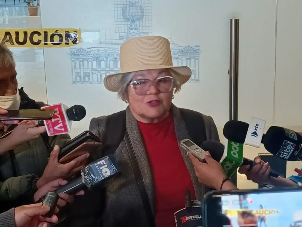 Ley de elecciones judiciales: Salame denuncia irregularidades en el envío de consultas