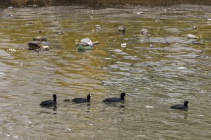 Contaminación de ríos latinoamericanos