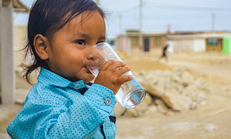 Importancia del agua en nuestro cuerpo