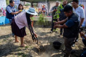 Campaña de forestación y reforestación en Cochabamba para garantizar agua a futuras generaciones