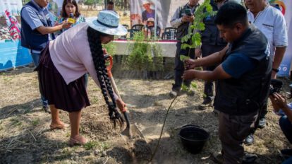 Campaña de forestación y reforestación en Cochabamba para garantizar agua a futuras generaciones