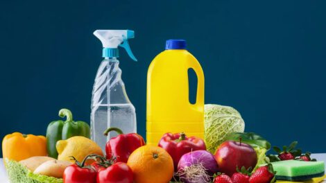 Seguridad alimentaria y desinfección del agua