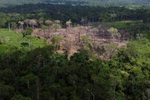 Deforestación en la Amazonía brasileña