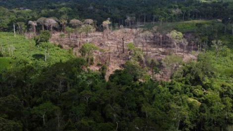 Deforestación en la Amazonía brasileña