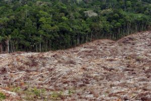Sequía en la Amazonía brasileña