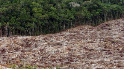 Sequía en la Amazonía brasileña