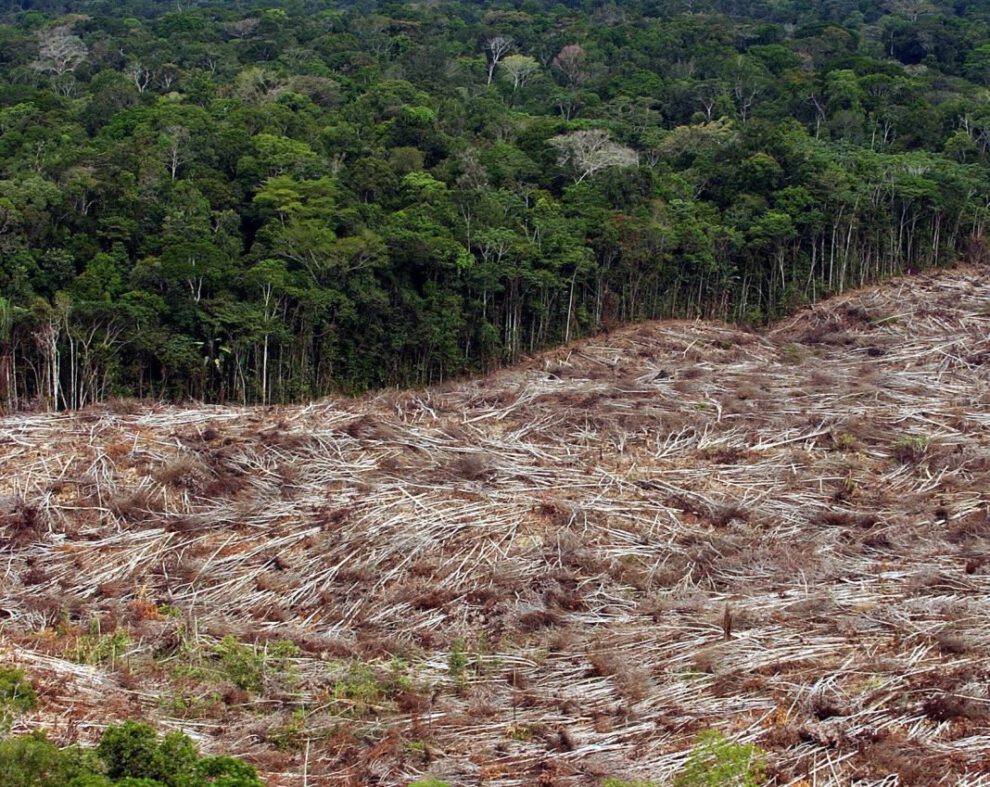 Sequía en la Amazonía brasileña
