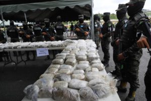 Decomiso de arbustos de coca en Honduras