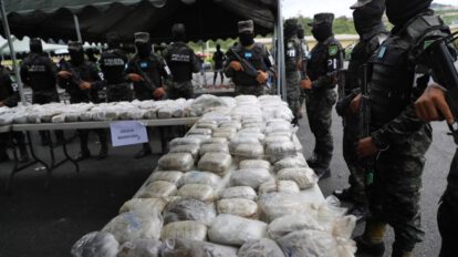 Decomiso de arbustos de coca en Honduras