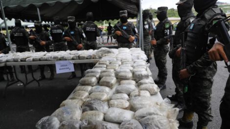 Decomiso de arbustos de coca en Honduras