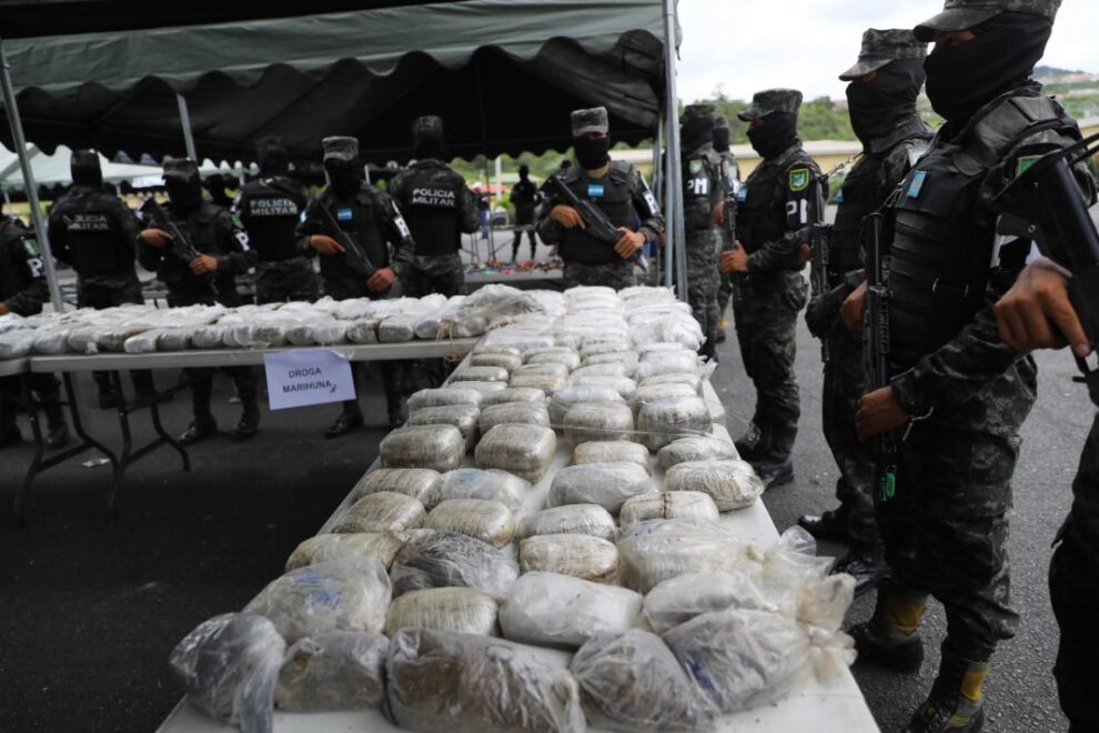 Decomiso de arbustos de coca en Honduras