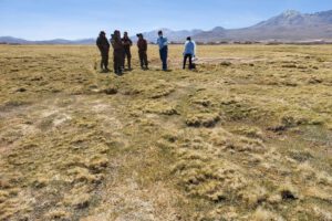 Hallan cadáver de mujer boliviana en zona fronteriza entre Chile y Bolivia