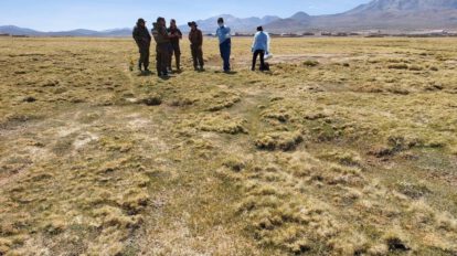 Hallan cadáver de mujer boliviana en zona fronteriza entre Chile y Bolivia