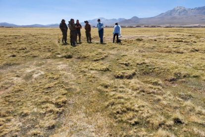 Hallan cadáver de mujer boliviana en zona fronteriza entre Chile y Bolivia