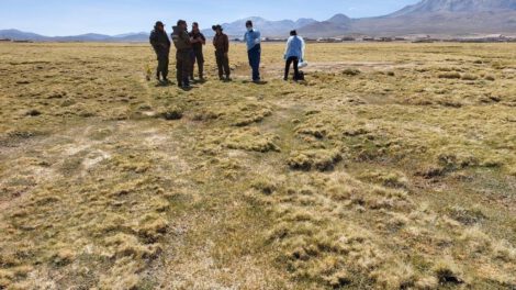 Hallan cadáver de mujer boliviana en zona fronteriza entre Chile y Bolivia