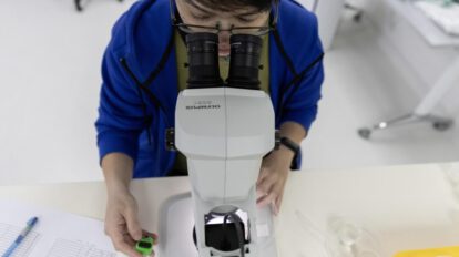 Proyecto Wolbachia en Singapur: combatiendo el dengue con nubes de mosquitos