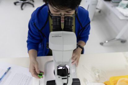 Proyecto Wolbachia en Singapur: combatiendo el dengue con nubes de mosquitos