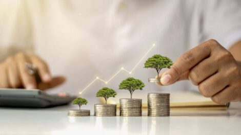 Financiamiento de una transición sostenible en la emergencia climática