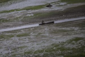 Disminución del caudal del río Negro en Brasil
